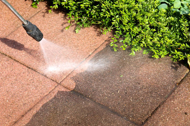  Park City, IL Pressure Washing Pros